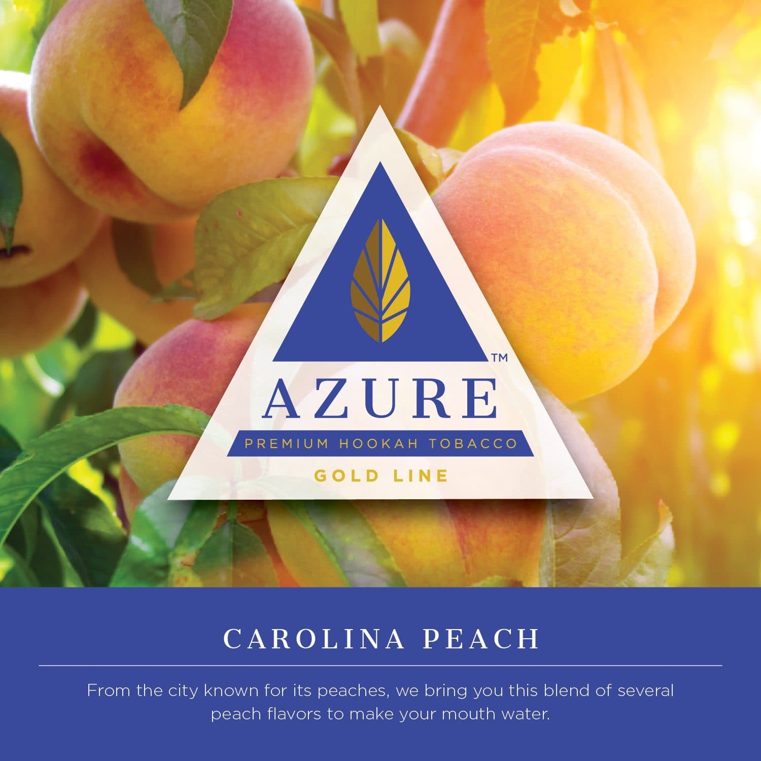 Azure Gold Line Carolina Peach Hookah Shisha Flavor