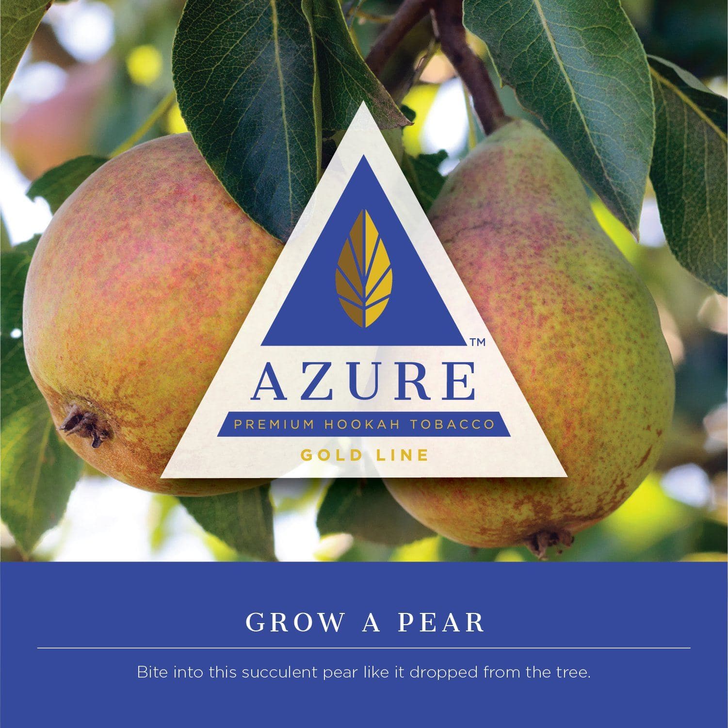 Azure Gold Line Grow A Pear Hookah Shisha Flavor