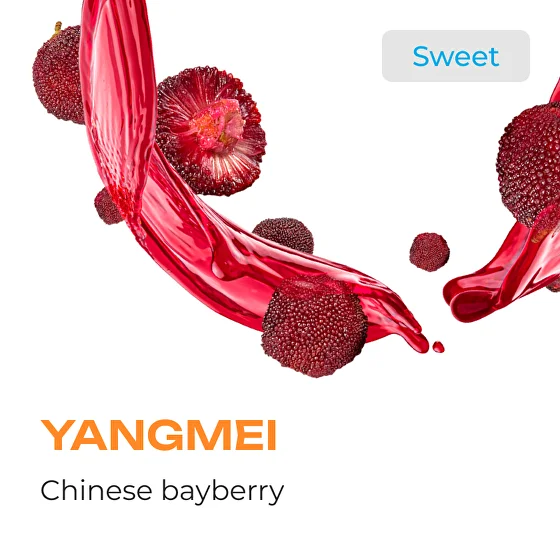 Element Water Line Yangmei Hookah Flavors