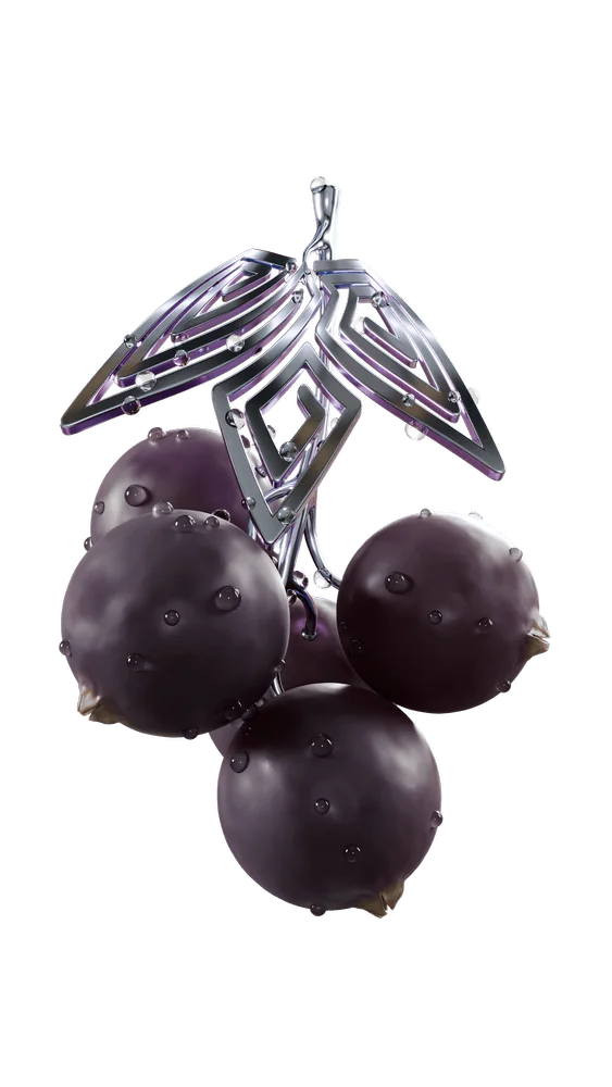 Sapphire Crown Fragrant Blackcurrant Hookah Flavor