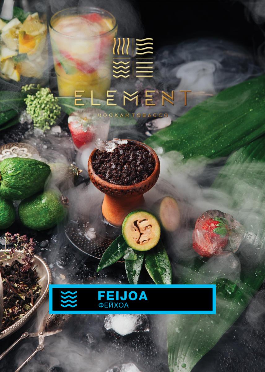 Element Water Line Feijoa Hookah Flavors