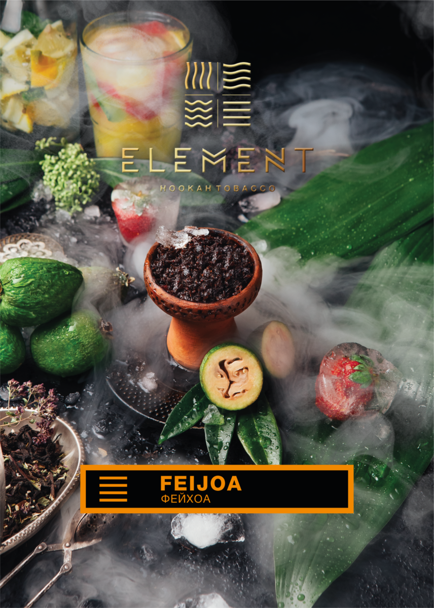 Element Earth Line Feijoa Hookah Flavors