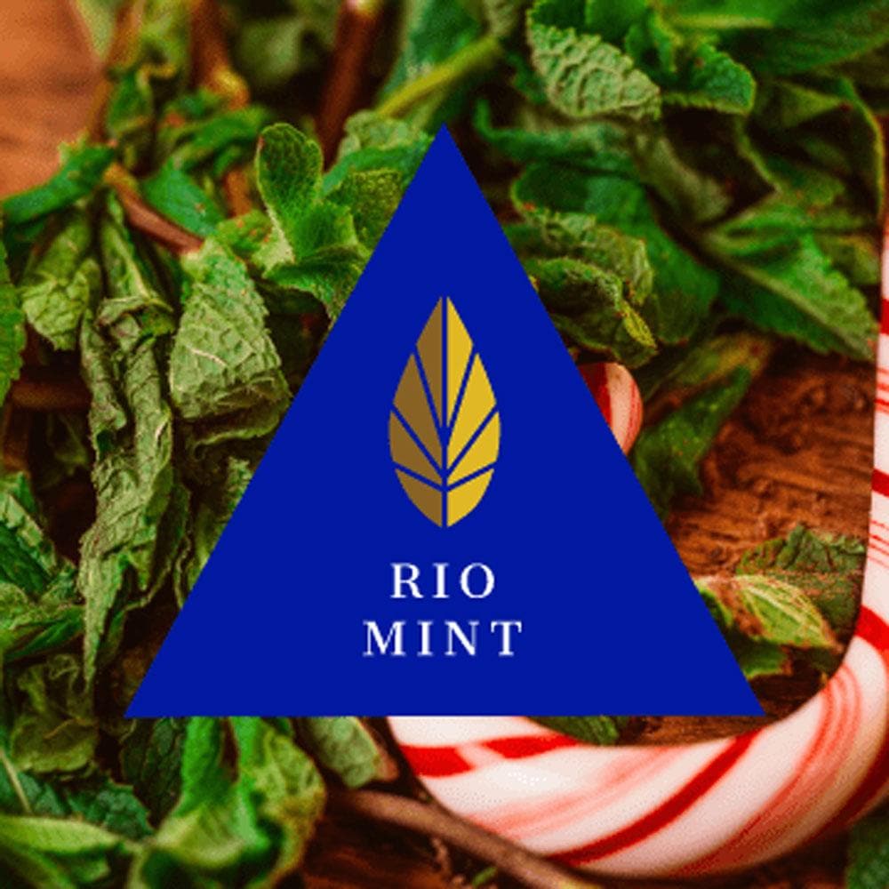 Azure Gold Line Rio Mint Hookah Shisha Flavor