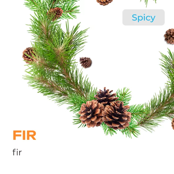 Element Earth Line Fir Hookah Flavors