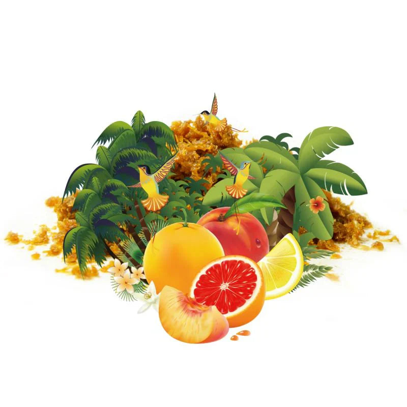 Eternal Smoke Caribbean Nights Hookah Shisha Tobacco Flavor