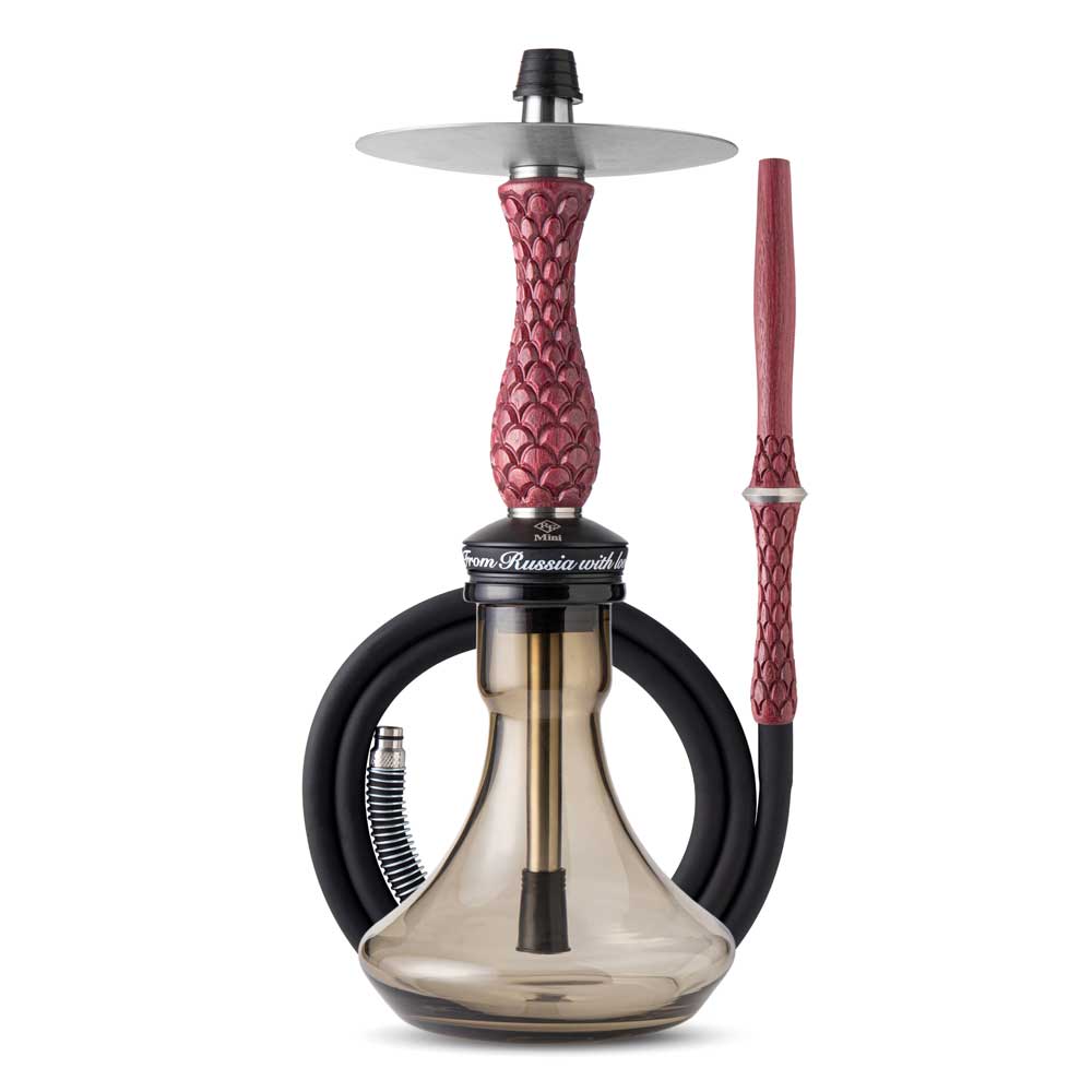 RF Mini Hookah Set