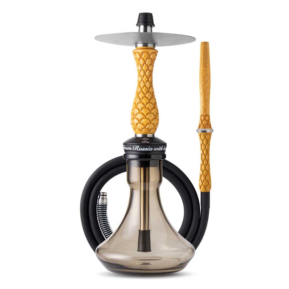 RF Mini Hookah Set