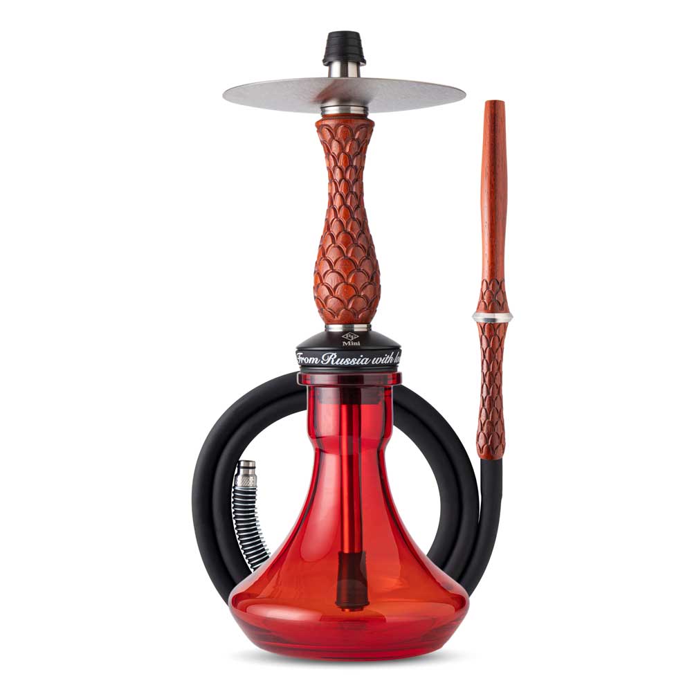RF Mini Hookah Set