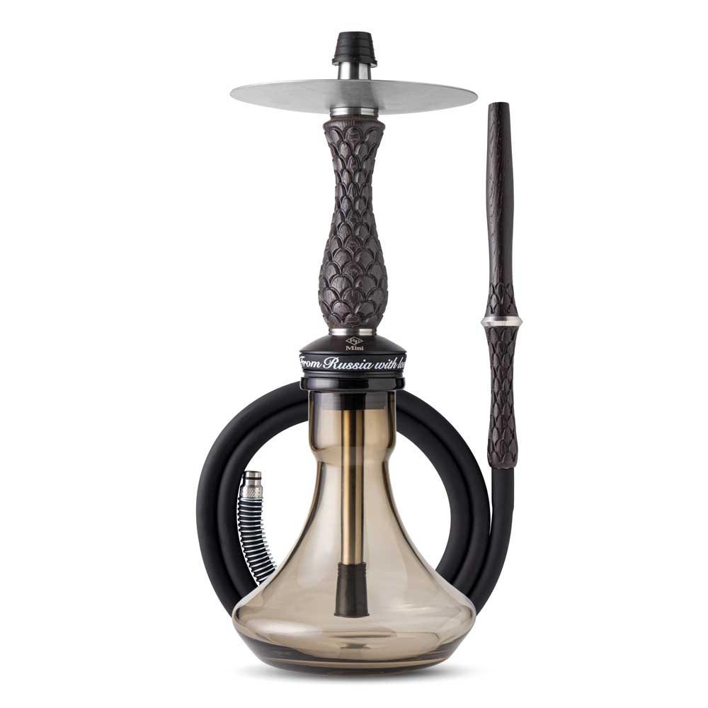 RF Mini Hookah Set