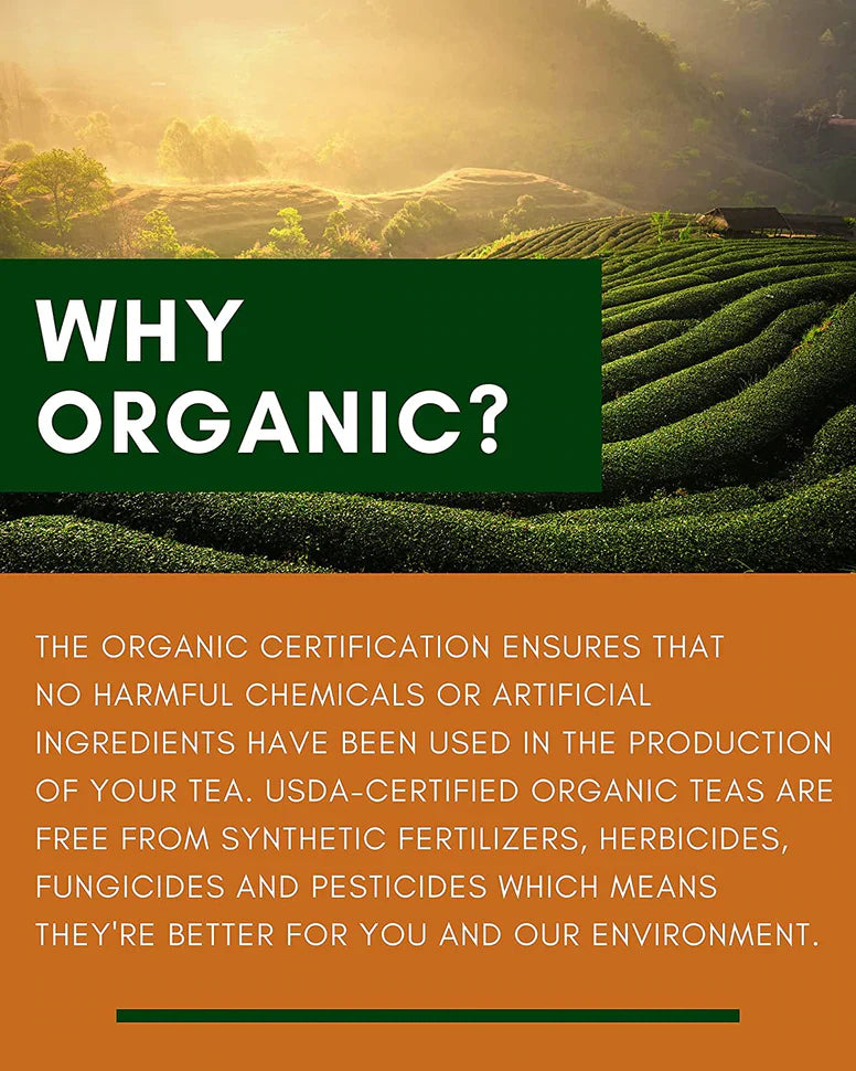 Gardenika Tulsi Kurkuma-Ingwer-Tee, lose Blätter, USDA-Bio, koffeinfreie Superfood-Mischung, 55+ Tassen – 4 Oz (113 g) 