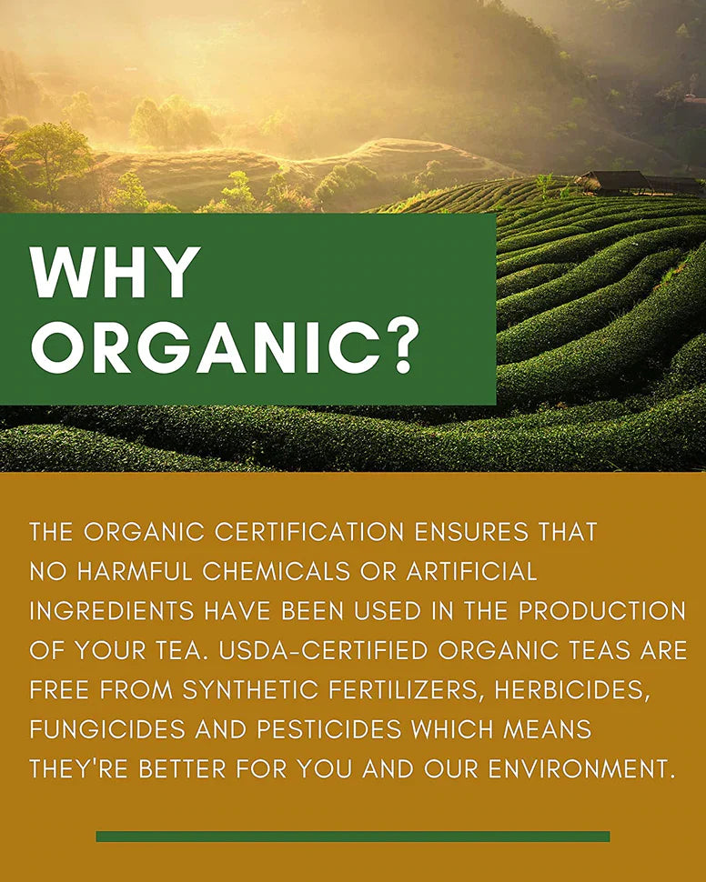 Té verde oolong Gardenika, hojas sueltas, orgánico certificado por el USDA, más de 55 tazas – 113 g (4 oz) 