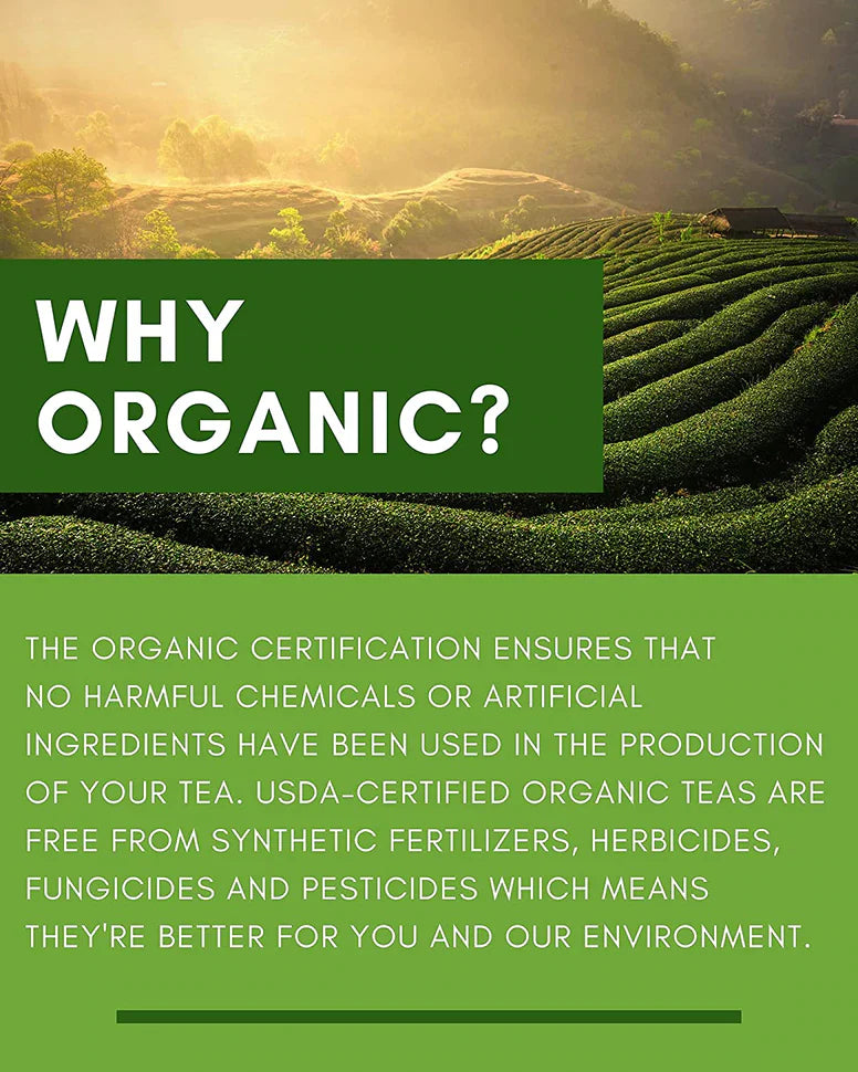 Gardenika Grüner Zitronen-Ginseng-Tee, Loseblätter, USDA Bio, 55+ Tassen – 4 Oz (113 g) 