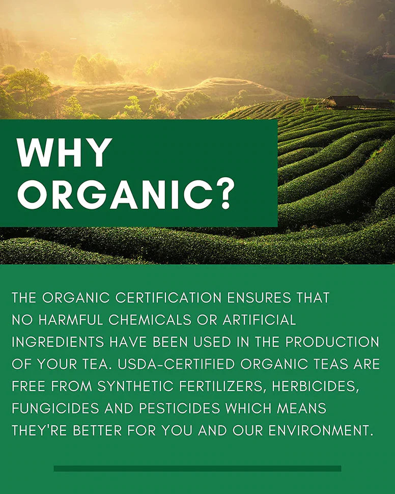 Gardenika Tulsi würziger grüner Tee, lose Blätter, USDA Bio, 55+ Tassen – 4 Oz (113 g) 