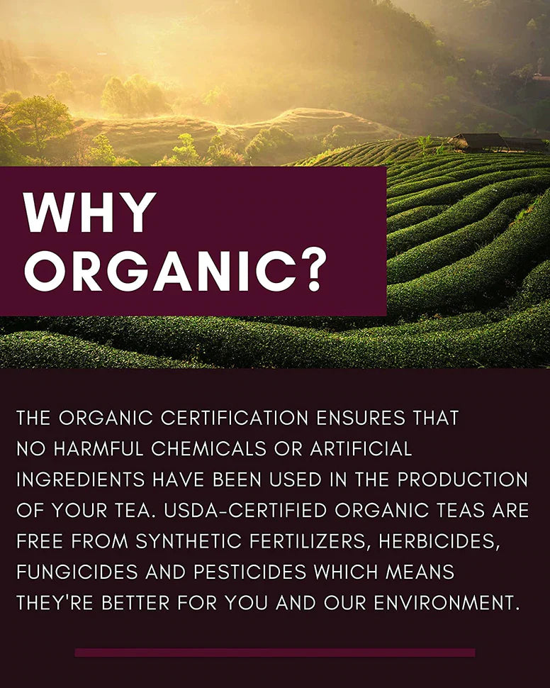 Gardenika Pu-Erh-Tee, lose Blätter, USDA-Bio, chinesischer Schwarztee, 55+ Tassen – 4 oz (113 g) 