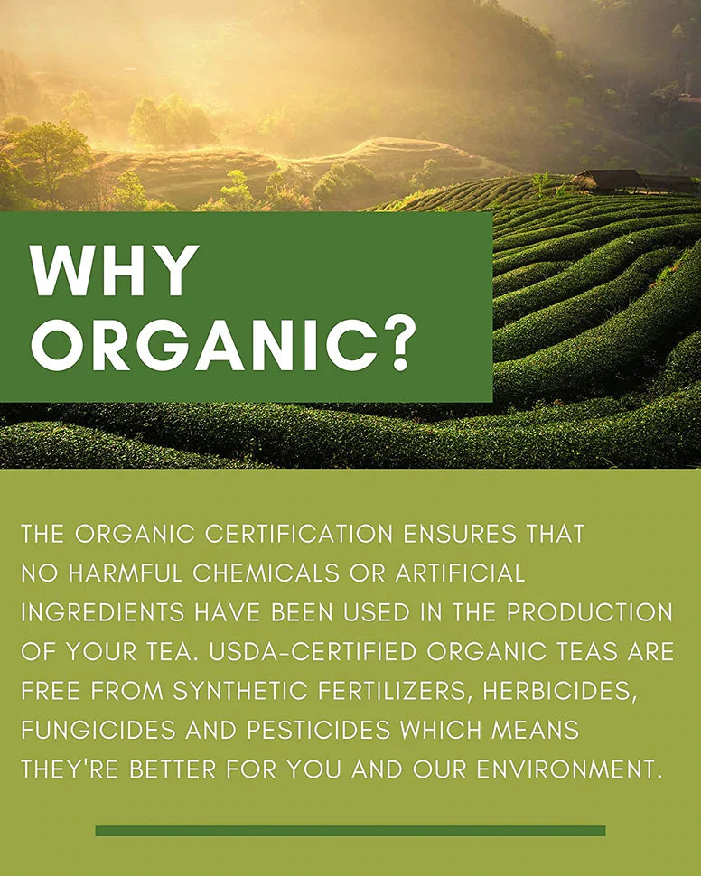 Té de hierbas Gardenika de limón y hierbabuena, hojas sueltas, orgánico certificado por el USDA, sin cafeína, 55+ tazas – 113 g (4 oz) 