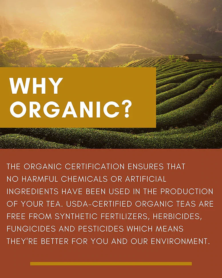 Gardenika Zitronenessenz-Schwarztee, lose Blätter, USDA-Bio, 55+ Tassen – 4 oz (113 g) 